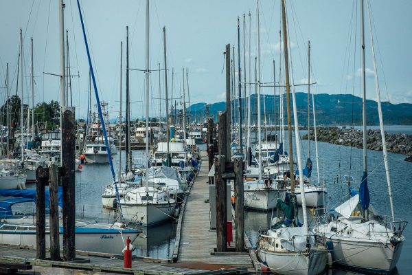 voiliers au port
