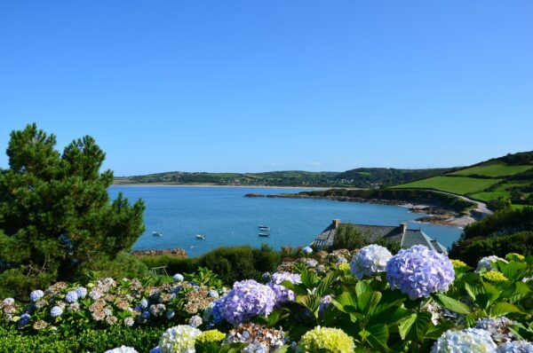 Port racine, Cotentin