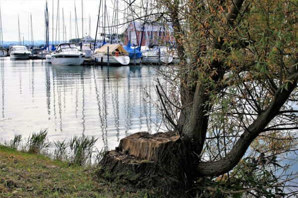 démarche permis bateau