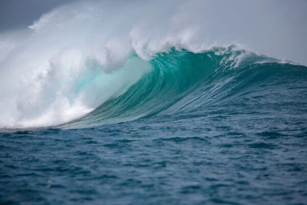 vague et houle