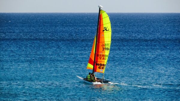 Catamaran de raid