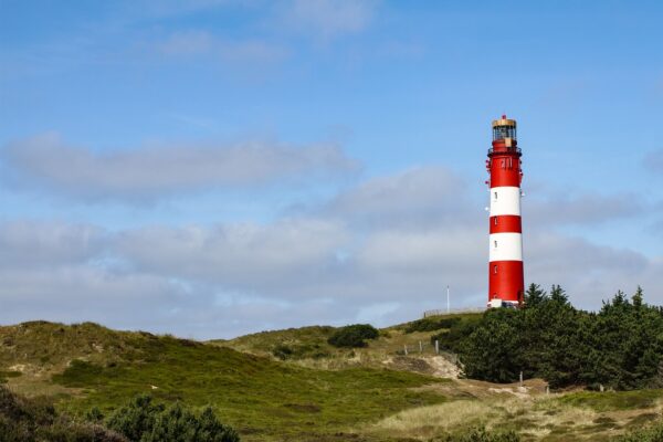 Texel