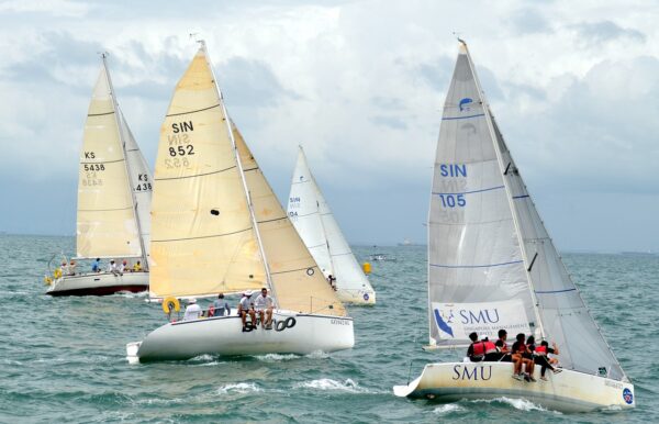 régatta