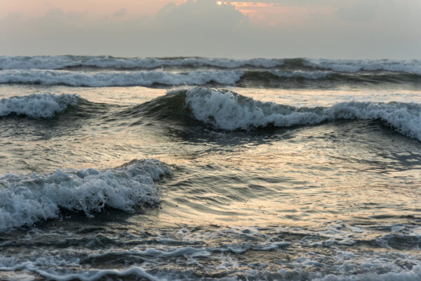 vagues