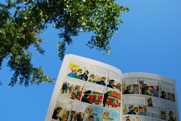 bande dessinée Tintin et milou