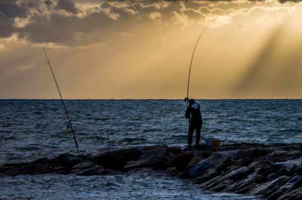 surfcasting
