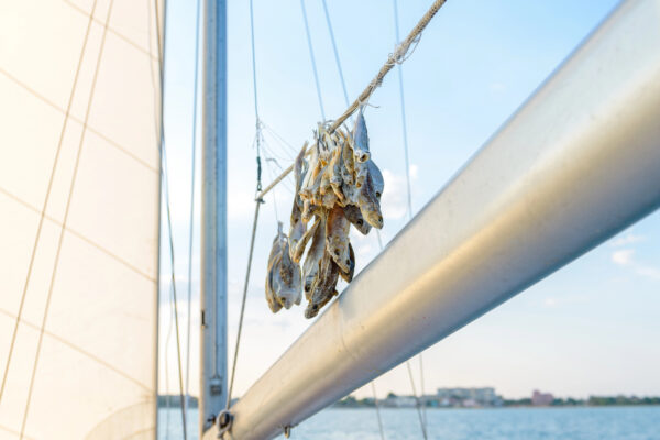 poisson séché sur un bateau