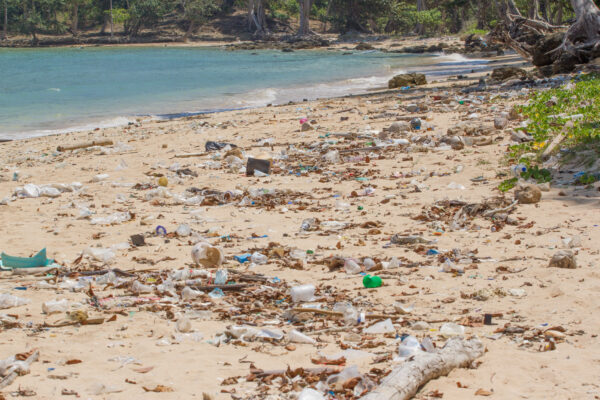 plage plastique