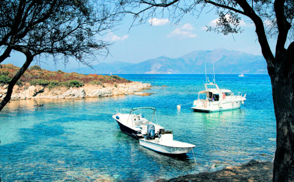 Corse