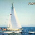 amel fango