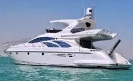 1781755918857-1.jpg