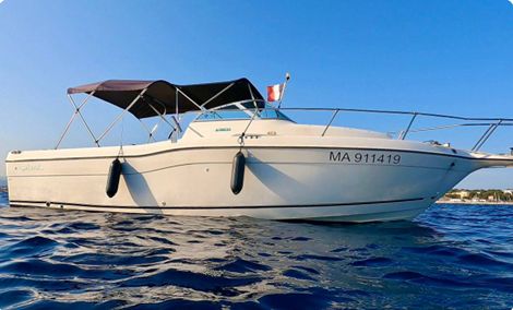 2-BATEAU-DAY-CRUISER-SEASWIRL-TRIPPER-755-A-VENDRE-OCCASION-FRANCE-WWW.VIKING-NAUTIK.COM_.jpg