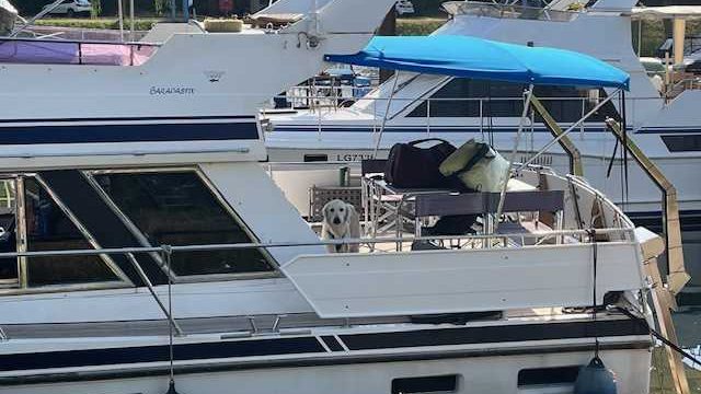 3-VEDETTE-FLUVIAL-OCCASION-A-VENDRE-WWW.VIKING-NAUTIK.COM_-1.jpg