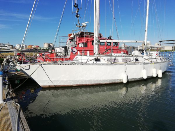 IMG_20240509_183948-1.jpeg