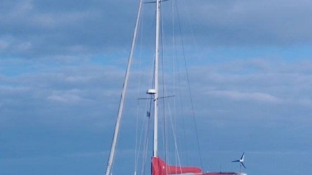 IMG_20260709_100149.jpg