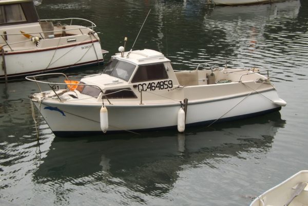 beluga-22-aout-2025