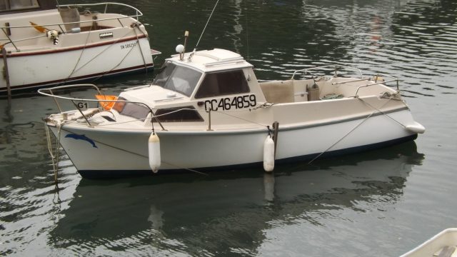 beluga-22-aout-2025
