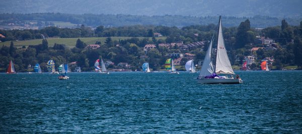 régate Lac Léman