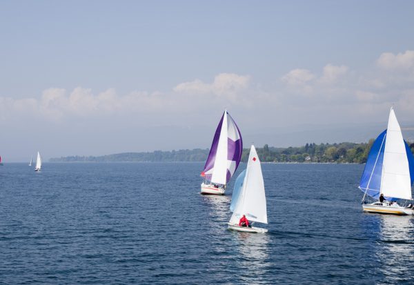 régate Lac Léman