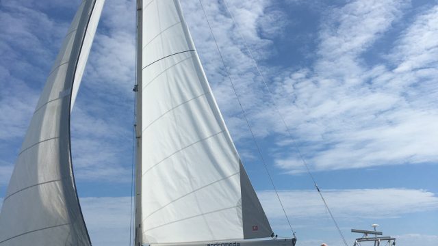 Bavaria 41